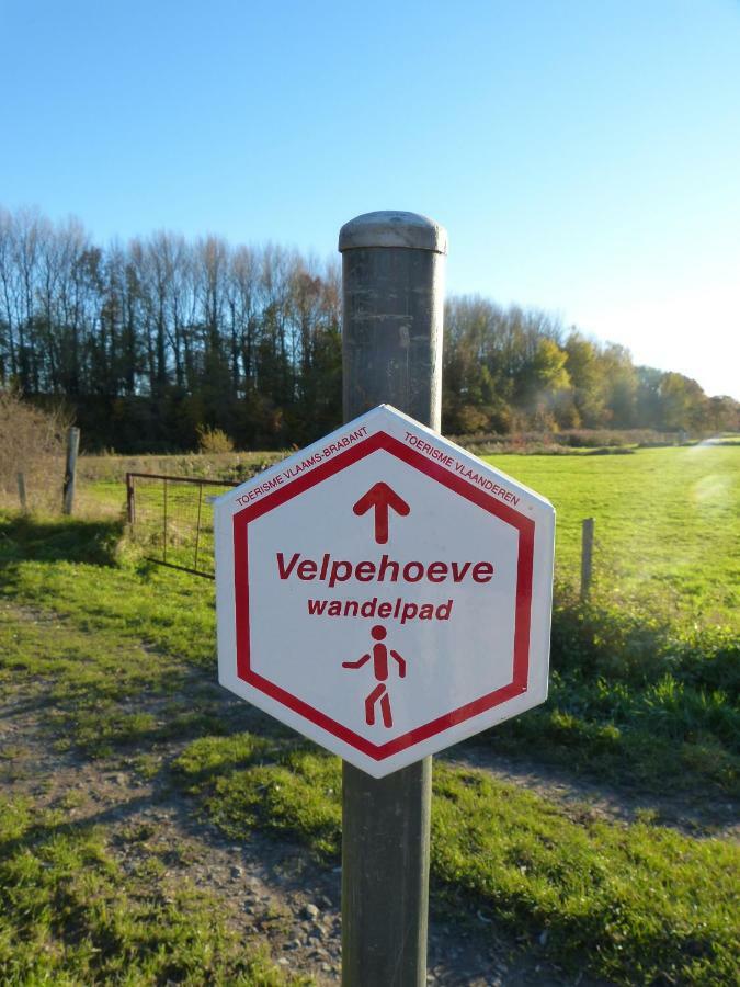 Velpe 55 Villa Bierbeek Eksteriør bilde