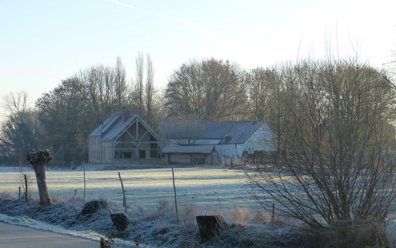 Velpe 55 Villa Bierbeek Eksteriør bilde
