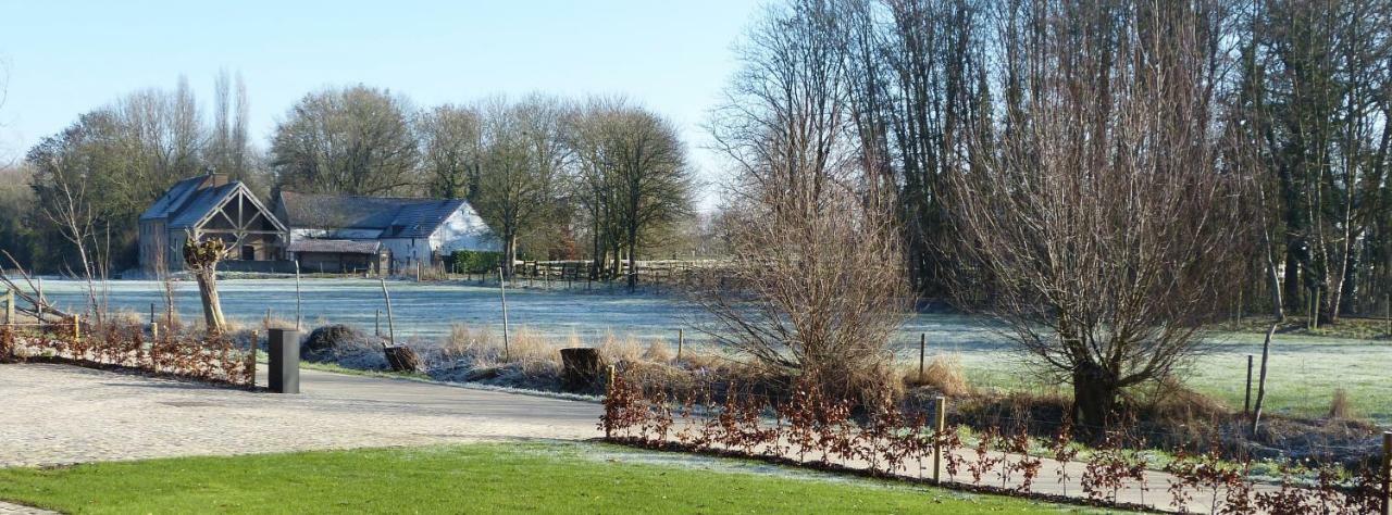 Velpe 55 Villa Bierbeek Eksteriør bilde