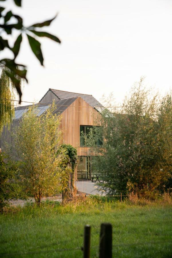 Velpe 55 Villa Bierbeek Eksteriør bilde