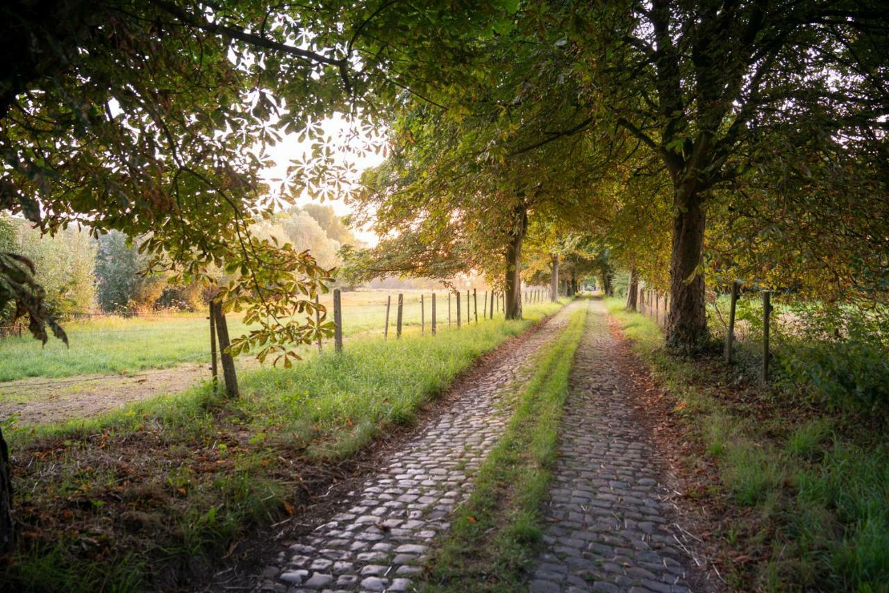 Velpe 55 Villa Bierbeek Eksteriør bilde
